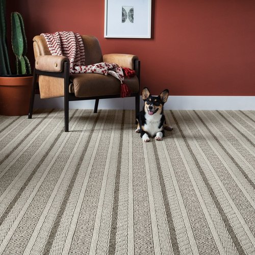 Dog next to a brown armchair in a room with patterned Anderson Tuftex Carpet from Southwest Floors in Seven Hills, OH