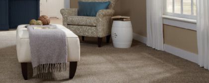 Tuftex Carpet Venecia