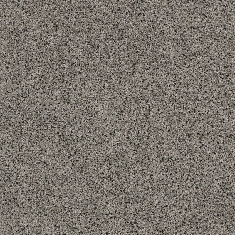 Dorado Twist 00500 Carpet By Shaw